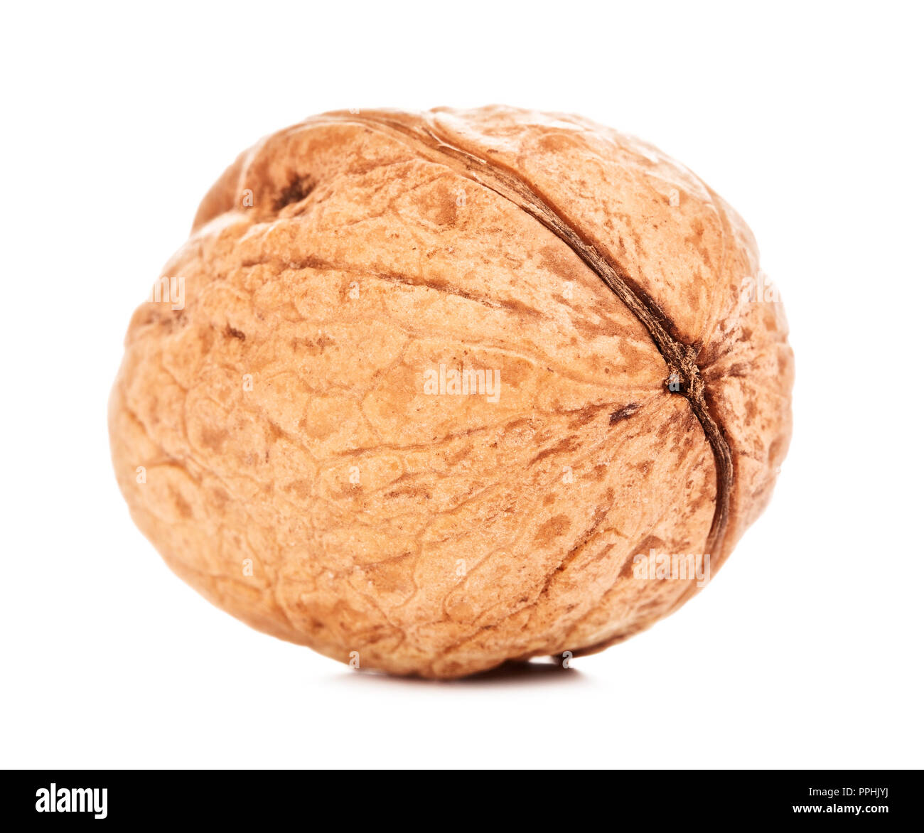 single walnut in a shell, isolated on white background Stock Photo