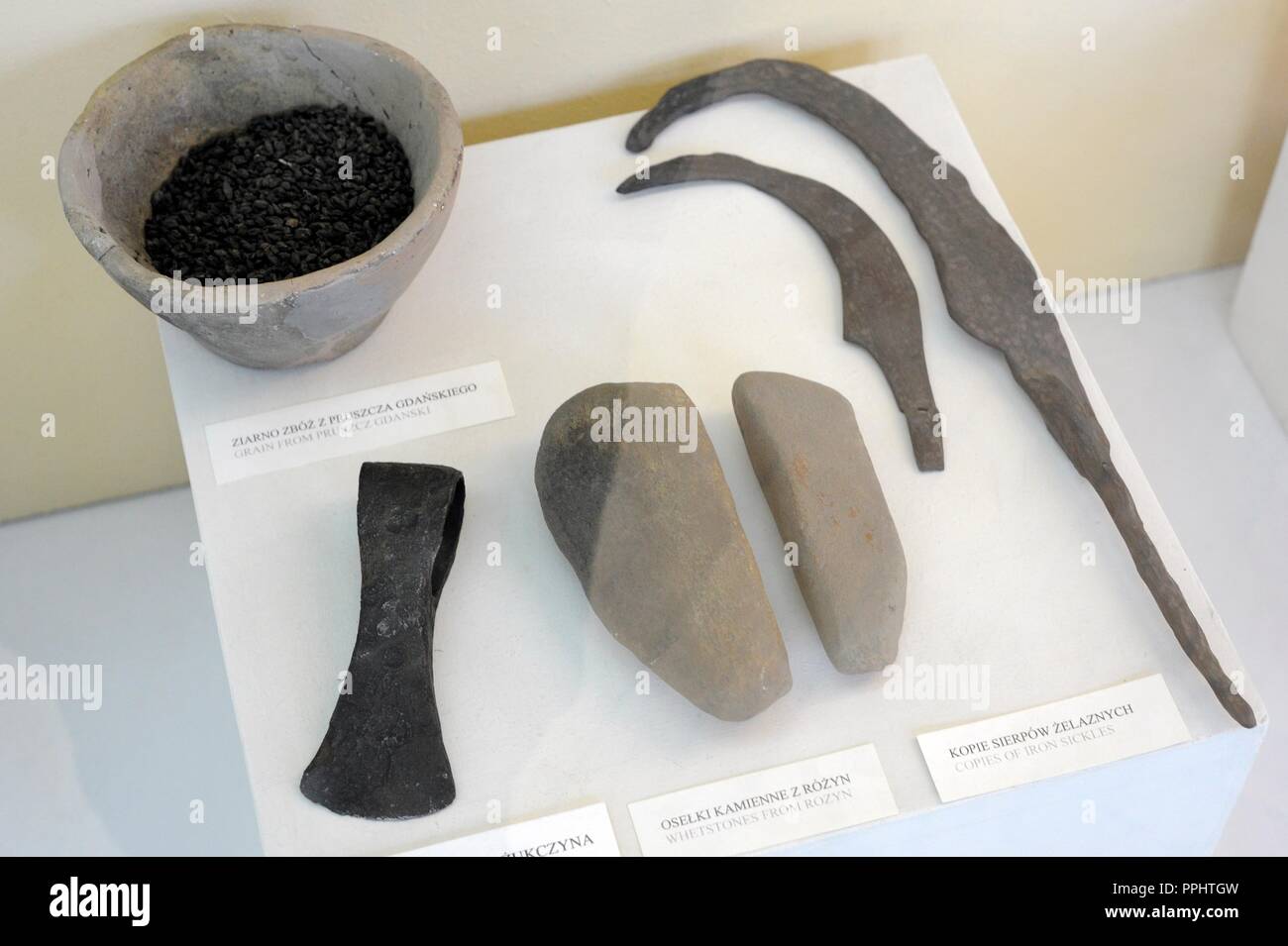 Poland. Prehistory. Iron Age. From left to right: grain from Pruszcz Gdanski; iron axe from Zukczyn; whetstones from Rozyn and copy of two iron sickles. Archaeological Museum. Gdansk. Poland. Stock Photo