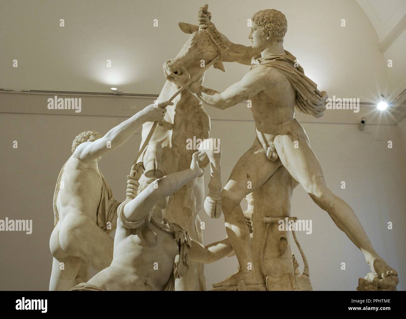 The Farnese Bull. Roman copy (3rd century AD) of a Hellenistic sculpture. Myth of Dirce. She was tied to a wild bull by the sons of Antiope, Amphion and Zethus. From baths of Caracalla, Rome. National Archaeological Museum, Naples. Italy. Stock Photo