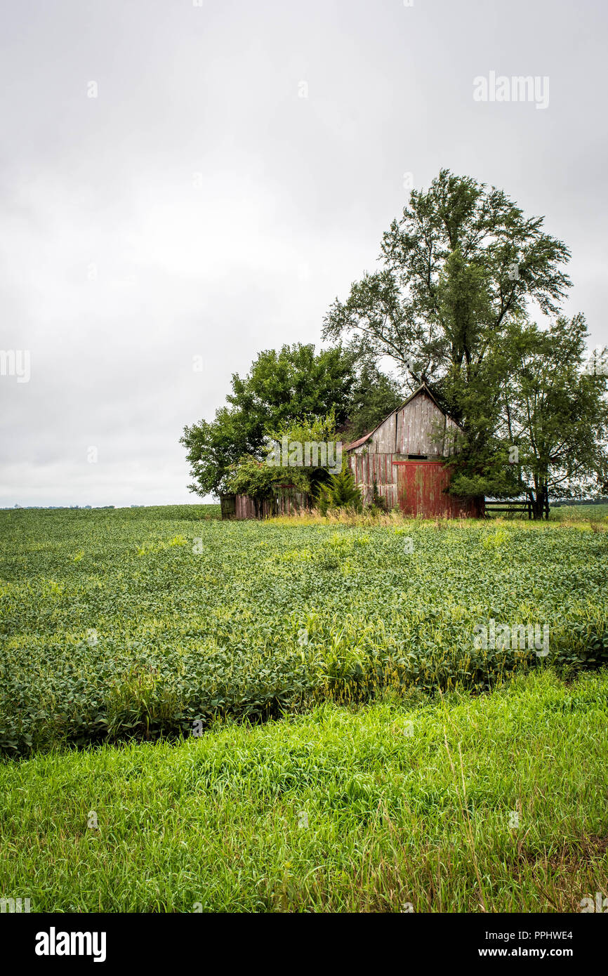 A weathered barn, Winterset, Madison County, Iowa, USA Stock Photo