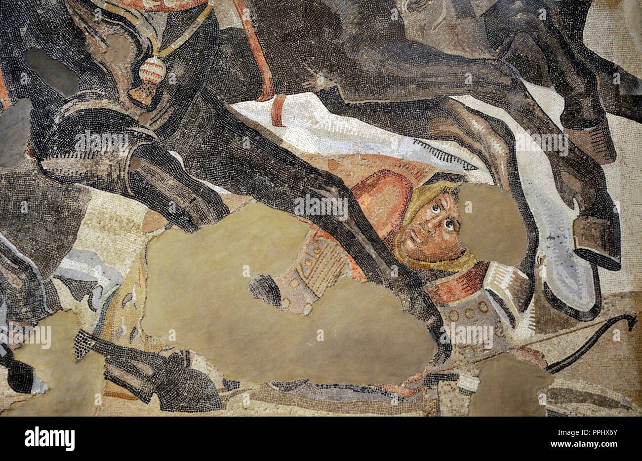 Alexander Mosaic. Battle of Issus (333 B.C.). Battle between Alexander the Great and the Achaemenid Empire, Darius III. Mosaic. Pompei, Casa del Fauno (VI, 12, 2). 2nd century AD. Detail. Persian soldier. National Archaeological Museum, Naples. Italy. Stock Photo