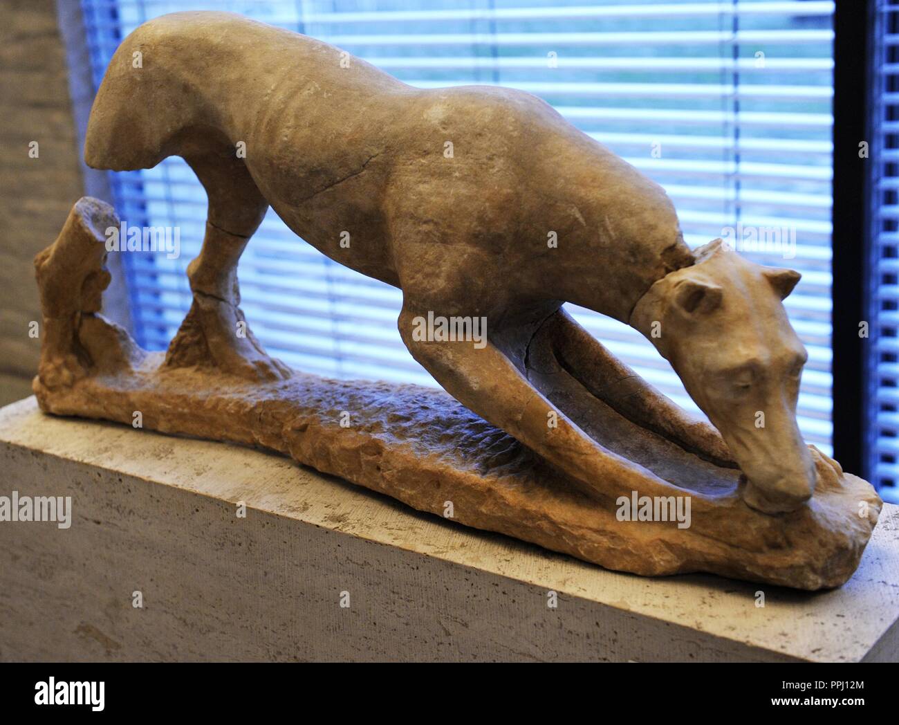 Greek art. Hunting dog. About 360 BC. Probably a grave adornment. Glyptothek. Munich. Germany. Stock Photo