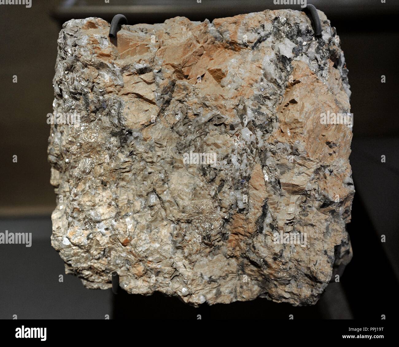 Pegmatite. Igneous rock with a grain size around 20 mm. Rocks with this grain size are said to have pegmatitic texture. Piece from Germany. Museum fur Naturkunde. Berlin. Germany. Europe. Stock Photo
