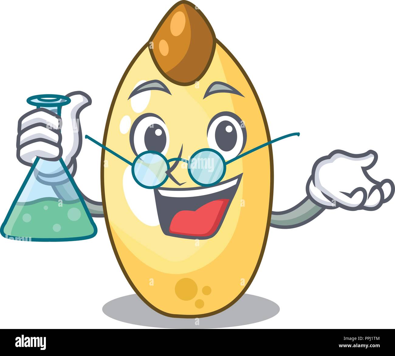 Professor character brown cedar nut fruit on plate Stock Vector