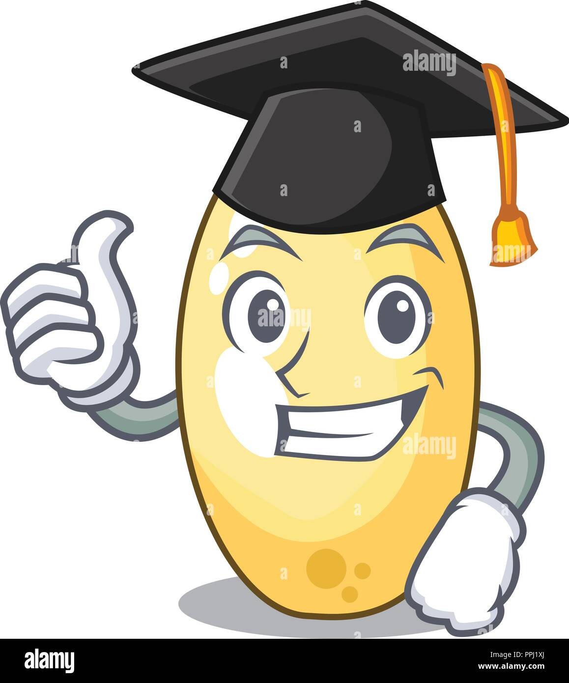 Graduation character brown cedar nut fruit on plate Stock Vector