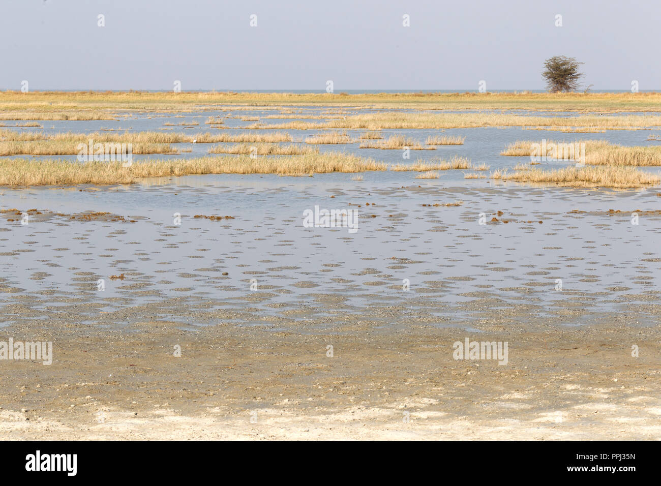 Makgadikgadi Pans National Park expansive landscape, Botswana Stock