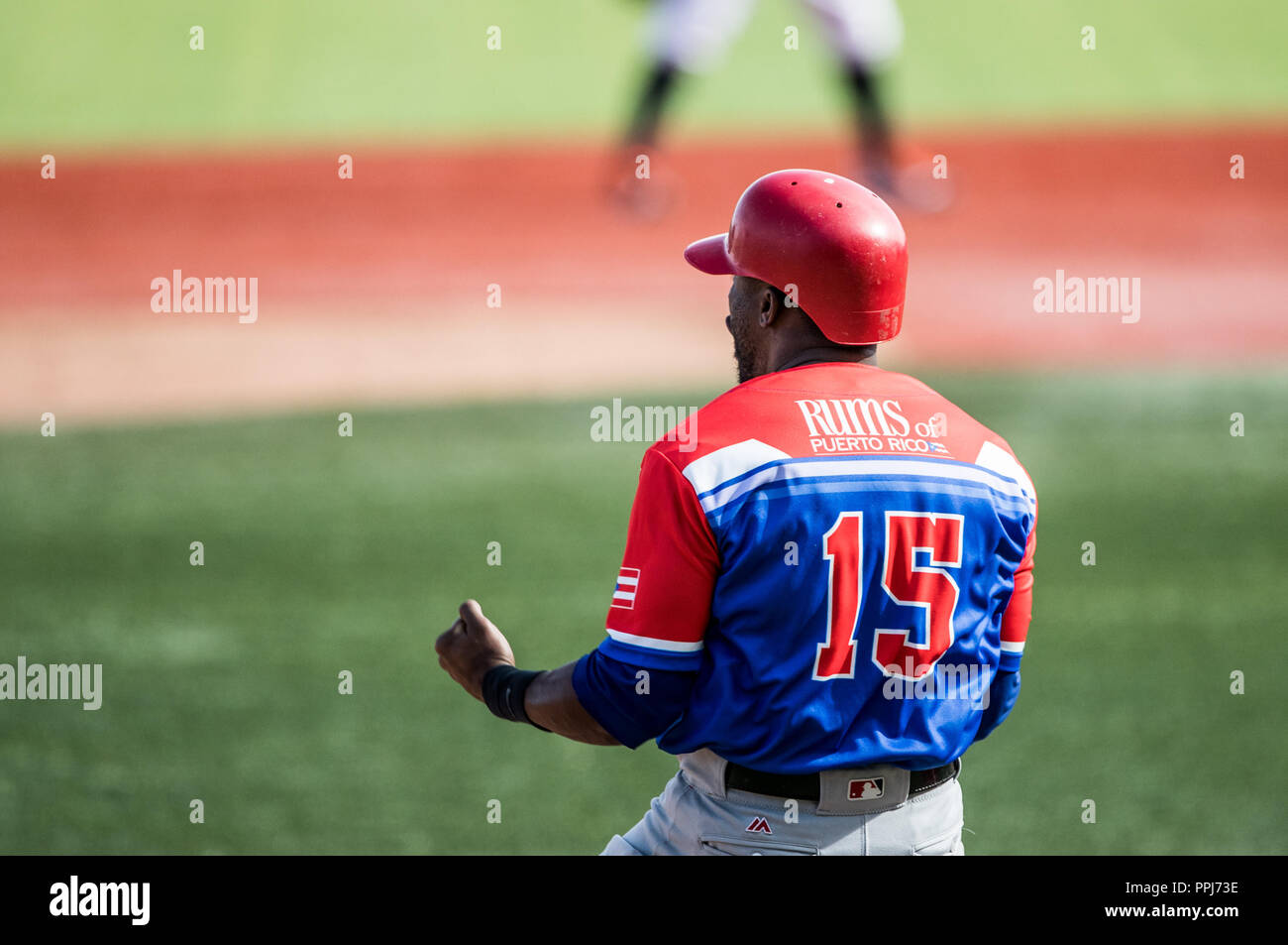 Irving Falu (15) de Caguas de Puerto Rico celebra Homerun de cuatro carreras  Anthony Garcia en la parte alta del sexto inning, para empatar el partid Stock Photo