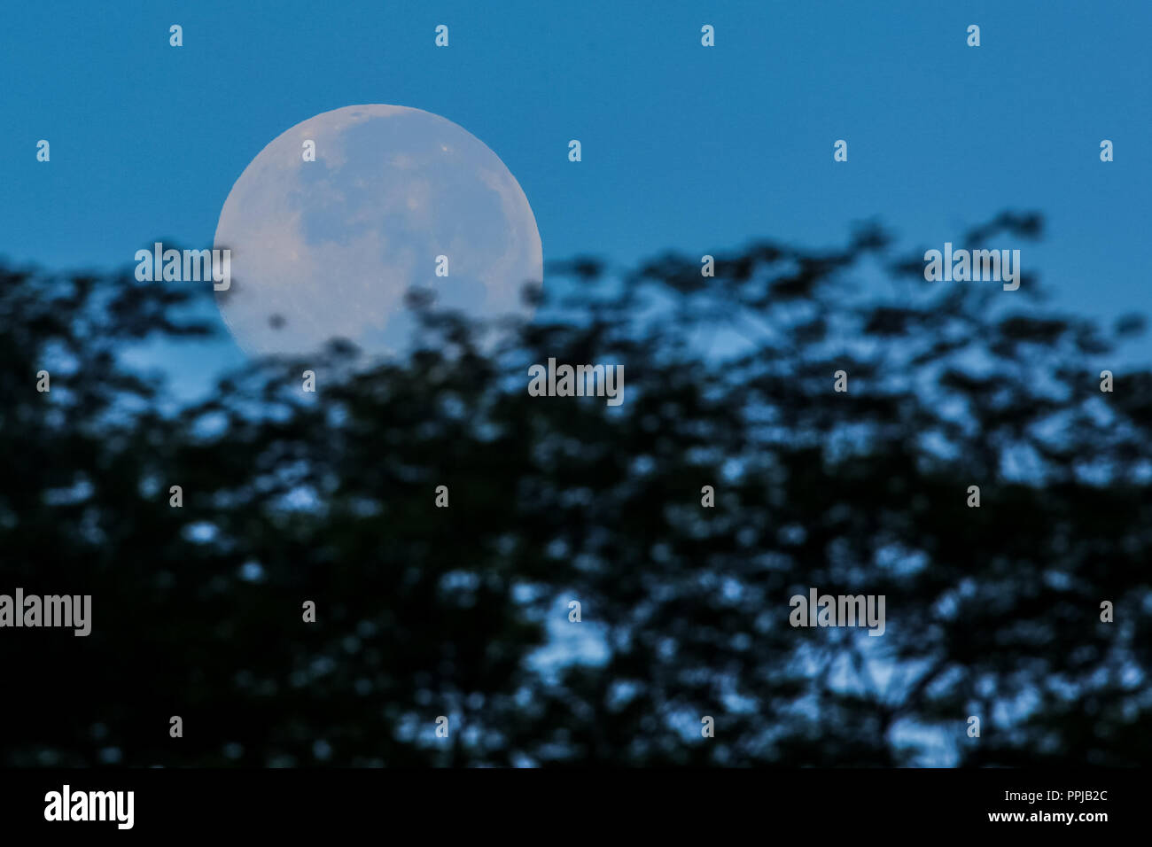 moon Stock Photo