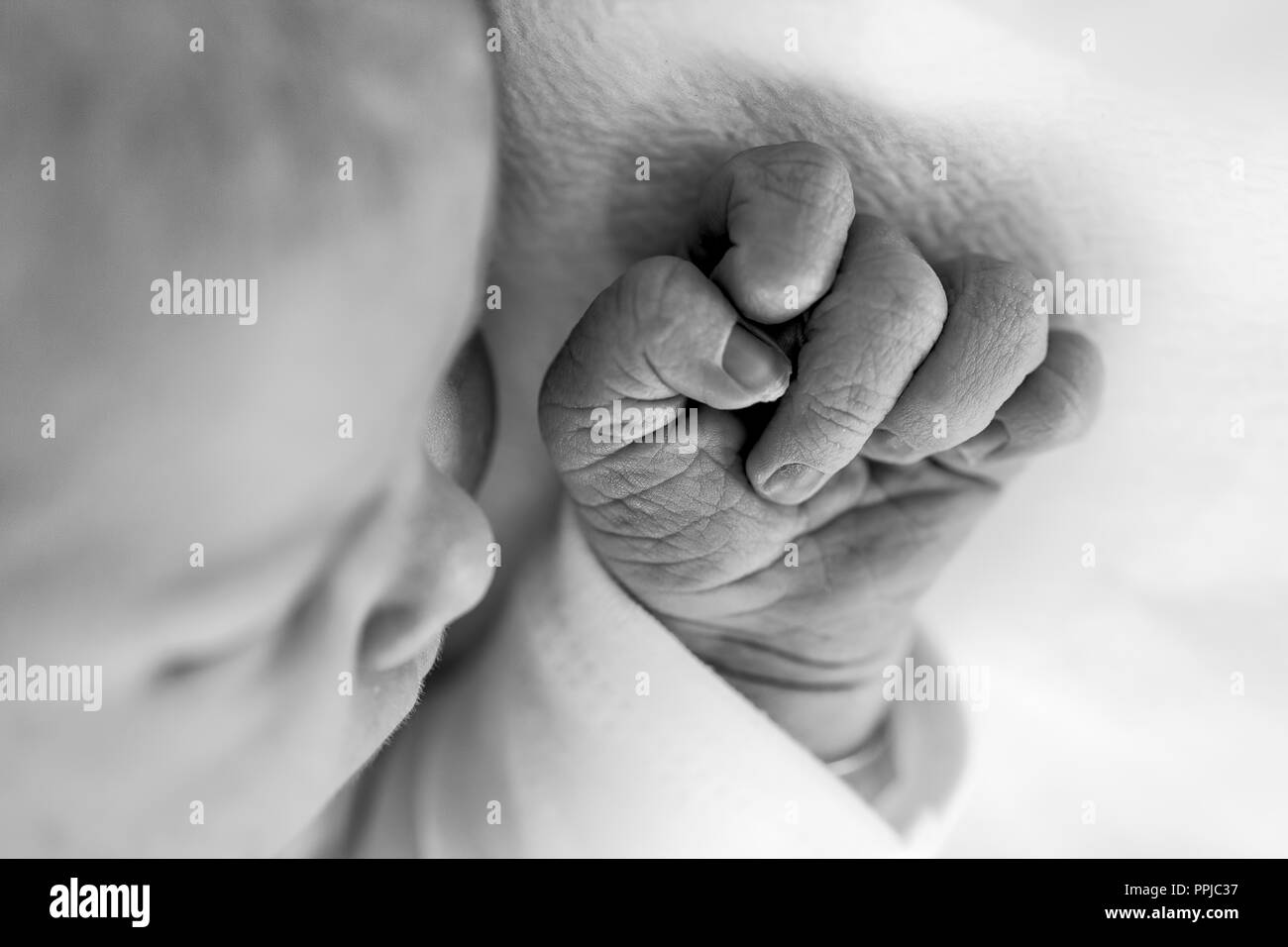 Newborn Babys Hand black and white image. Stock Photo