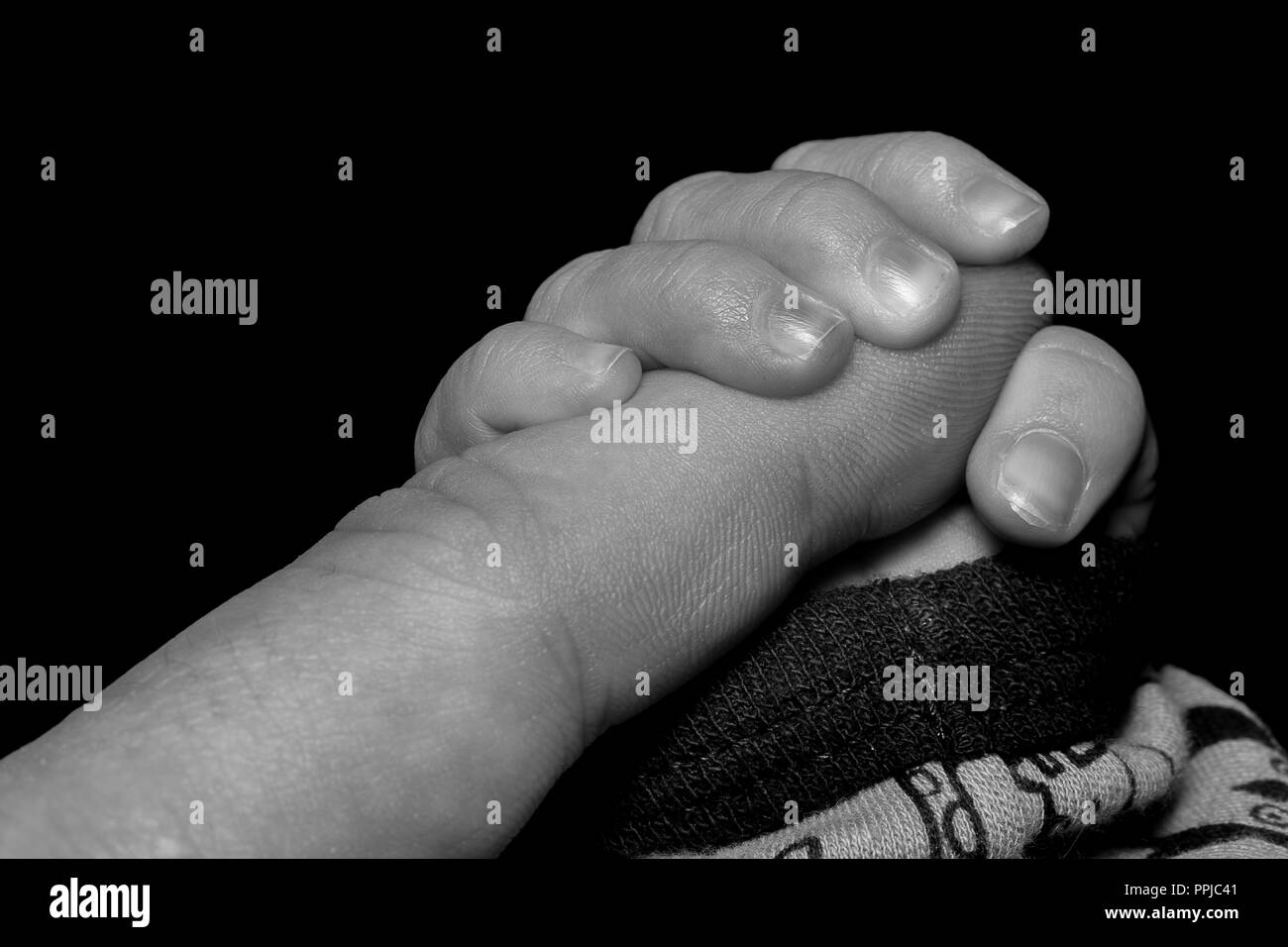 Baby Holding Index Finger Close up on black background. Stock Photo