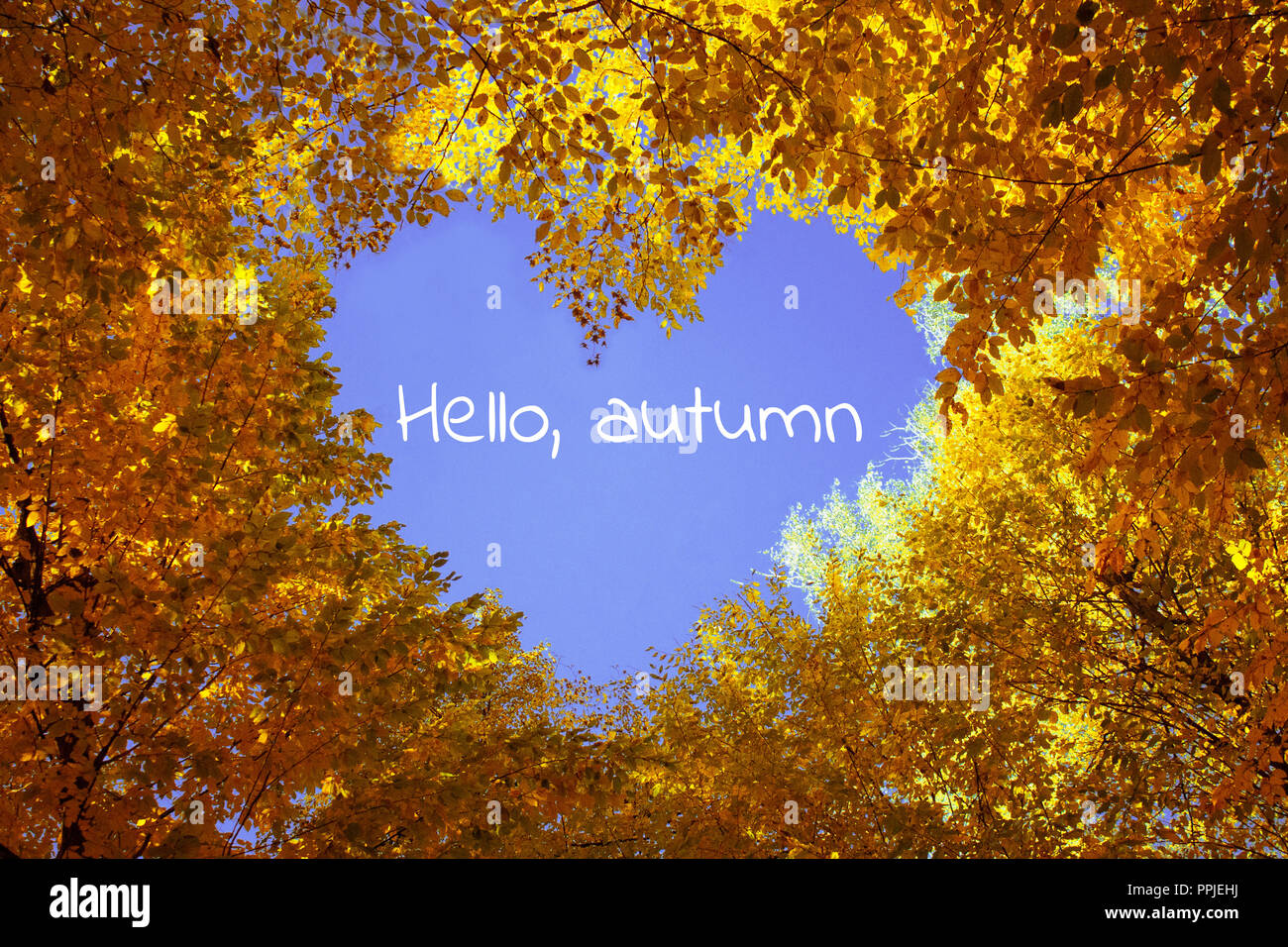 Heart from autumn leaves with blue sky on background Stock Photo