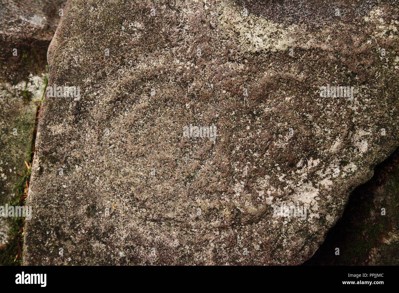 Petroglyphs carved by Nuxalk First Nations people, some 10000years ago