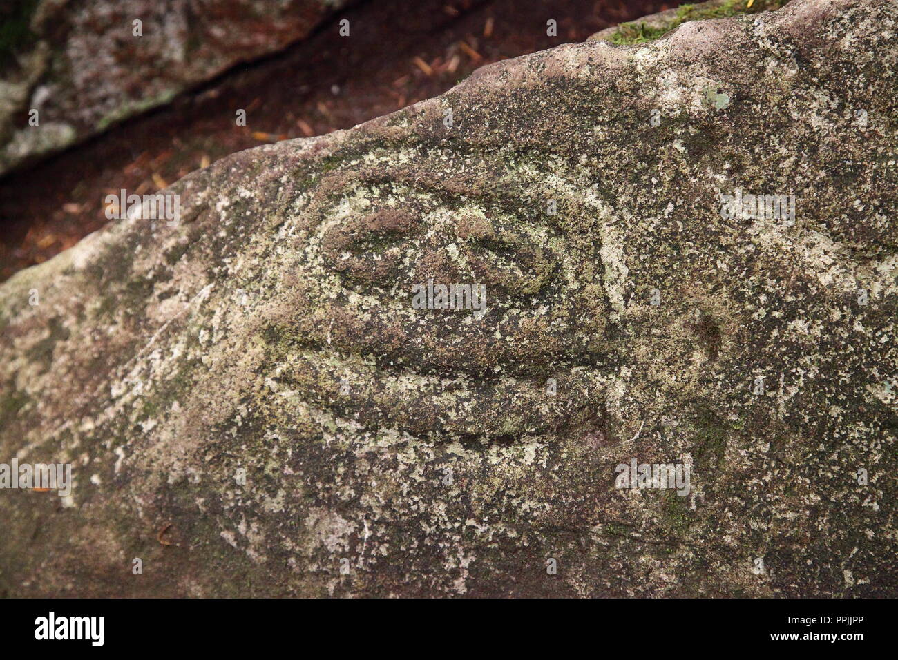Petroglyphs carved by Nuxalk First Nations people, some 10000years ago