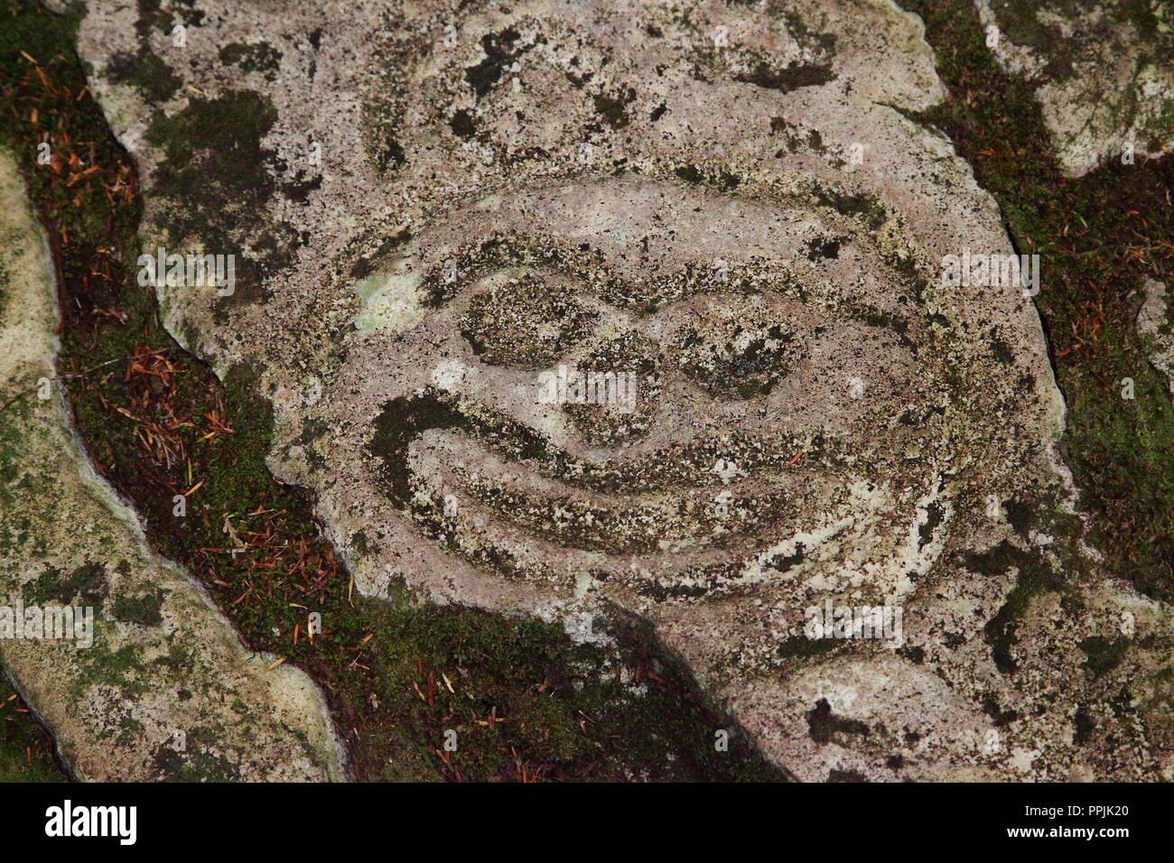 Petroglyphs carved by Nuxalk First Nations people, some 10000years ago