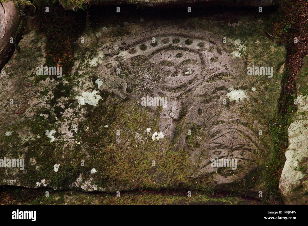 Petroglyphs carved by Nuxalk First Nations people, some 10000years ago