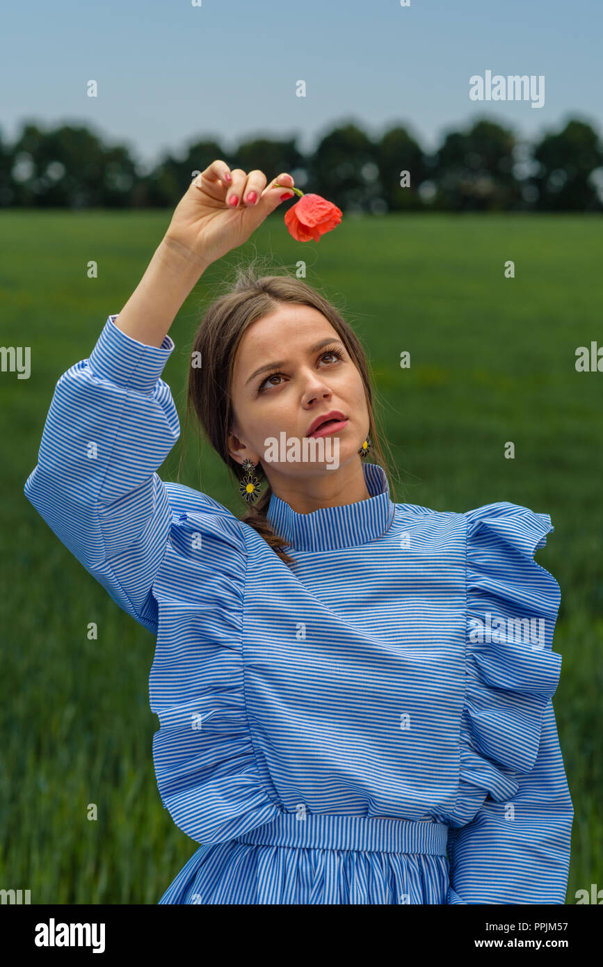 Young woman in blue and white striped dress is holding a red poppy flower above her hed and looking on it while standing in the field of green wheat a Stock Photo