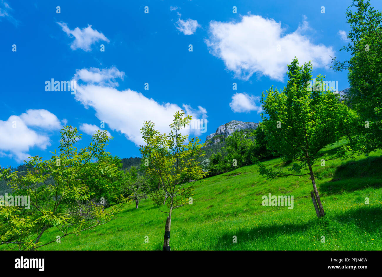 Aretxabaleta municipality hi-res stock photography and images - Alamy