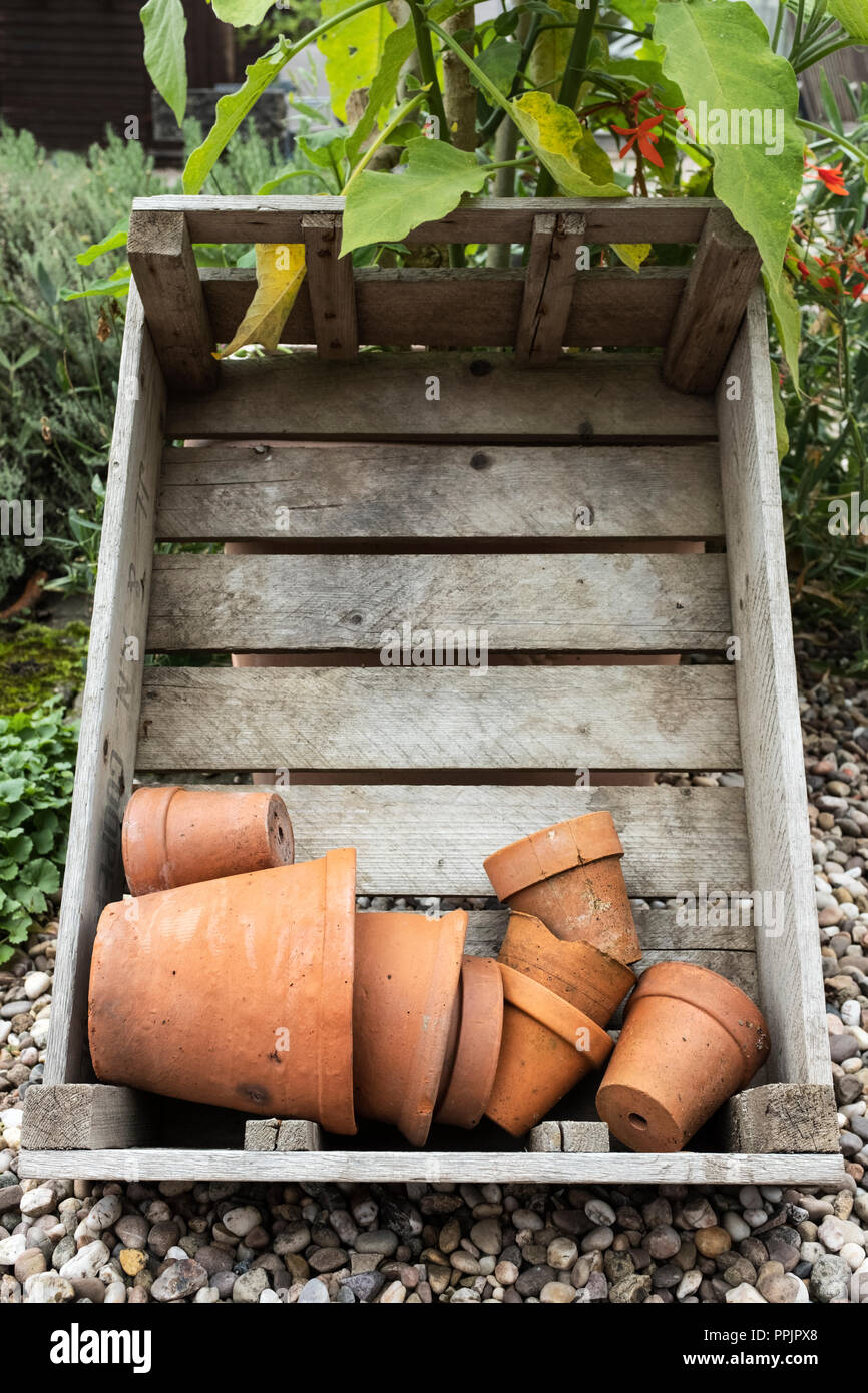 Old terracotta pots in a wooden crate. Stock Photo