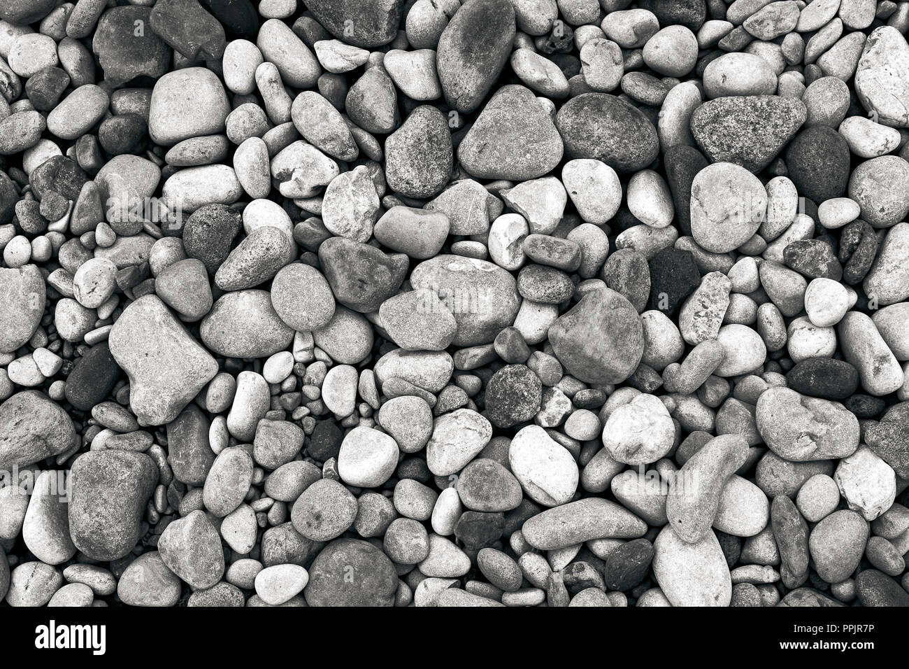 Riverbed pebbles, black and white monochrome background image. Stock Photo