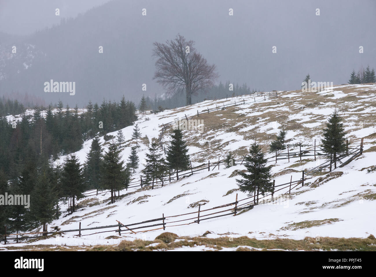 Winter spring landscape hi-res stock photography and images - Alamy