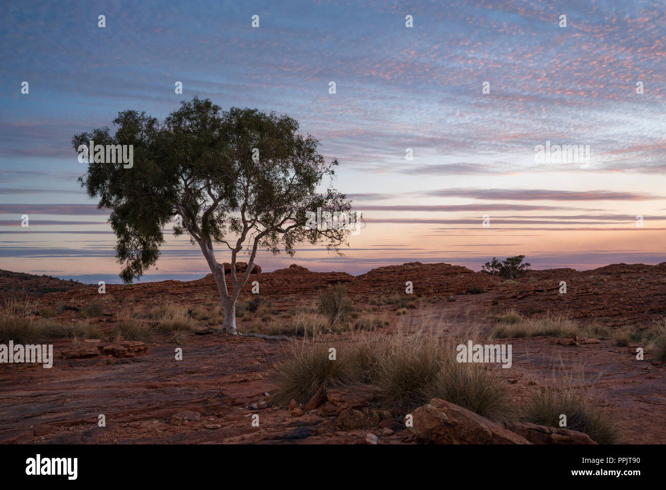 Gumtree Australia High Resolution Stock Photography And Images Alamy