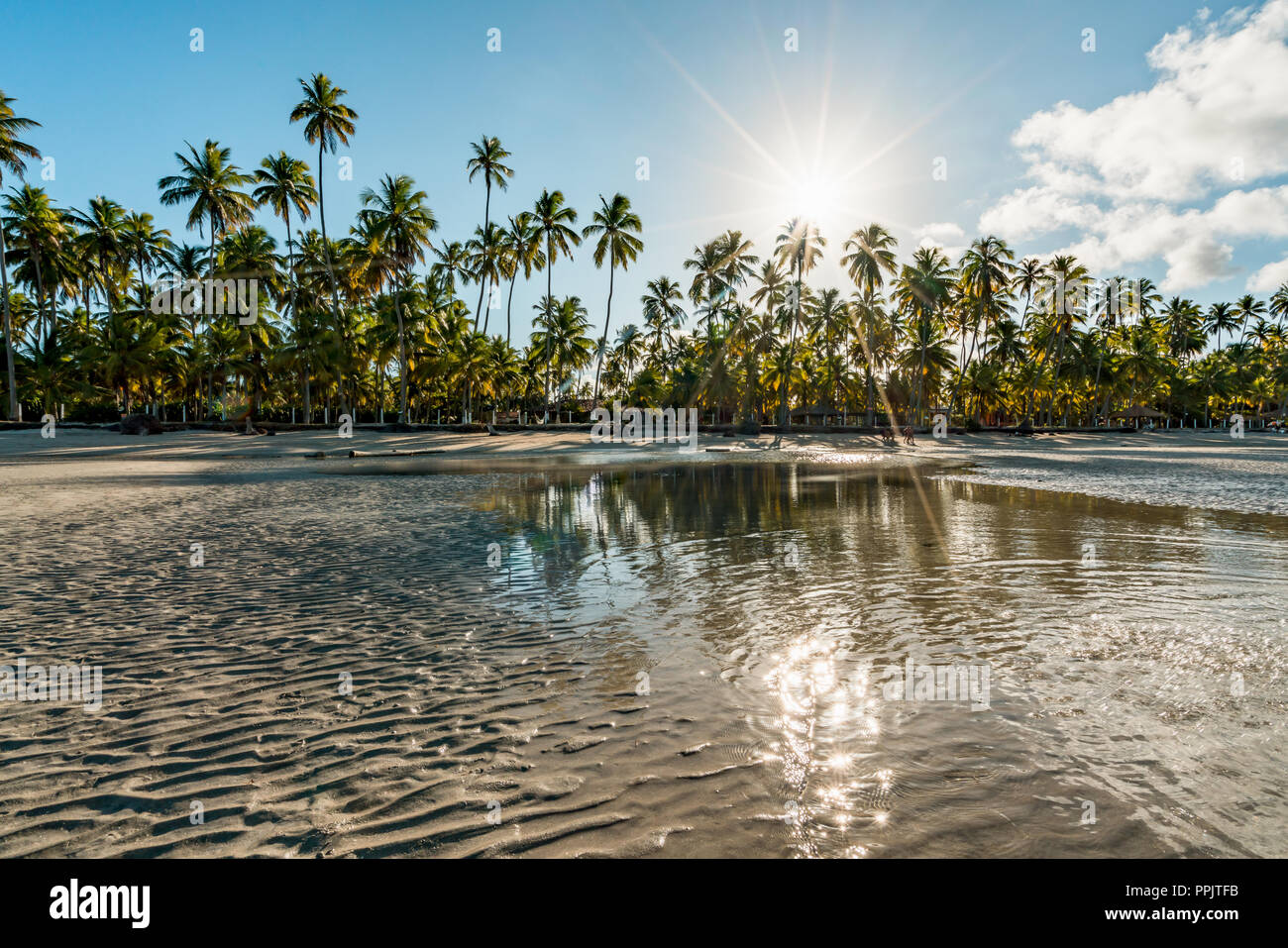 Paradise tropical Beach in Brazil, Carneiros Beach, Pernambuco Stock Photo