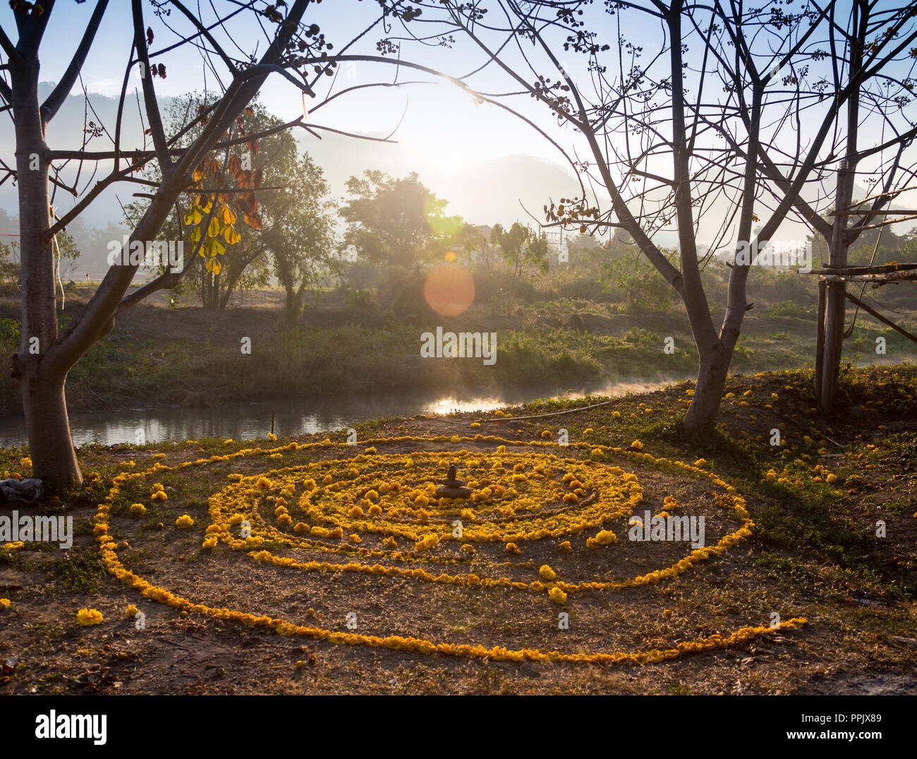 spiral painted on the ground with the help of flower petals to the sun ...