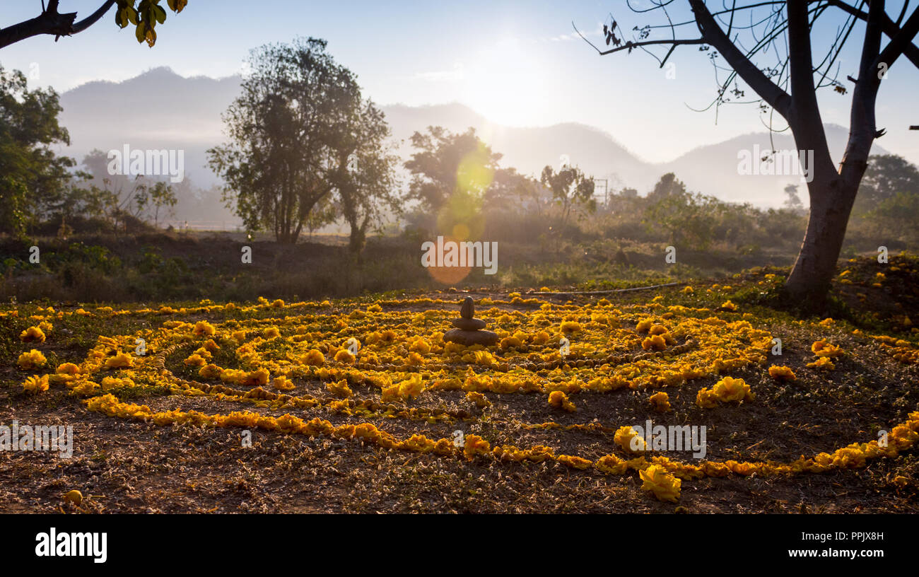 spiral painted on the ground with the help of flower petals to the sun ...