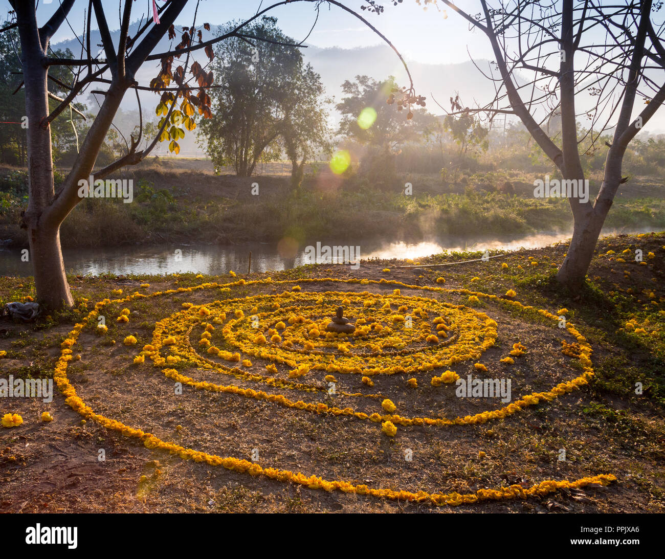 spiral painted on the ground with the help of flower petals to the sun ...