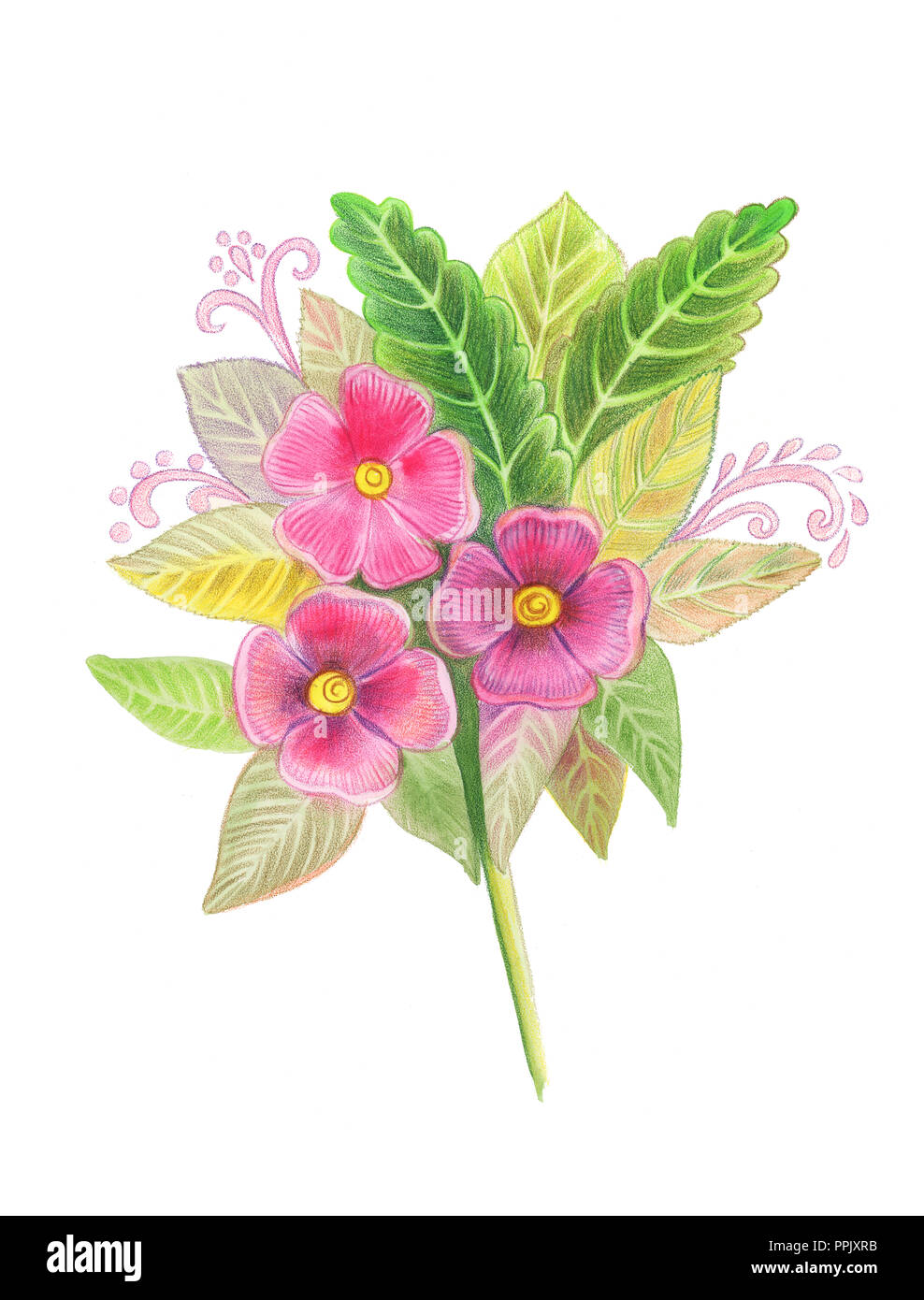 Flower Drawing Color Images - Free Download on Freepik-saigonsouth.com.vn