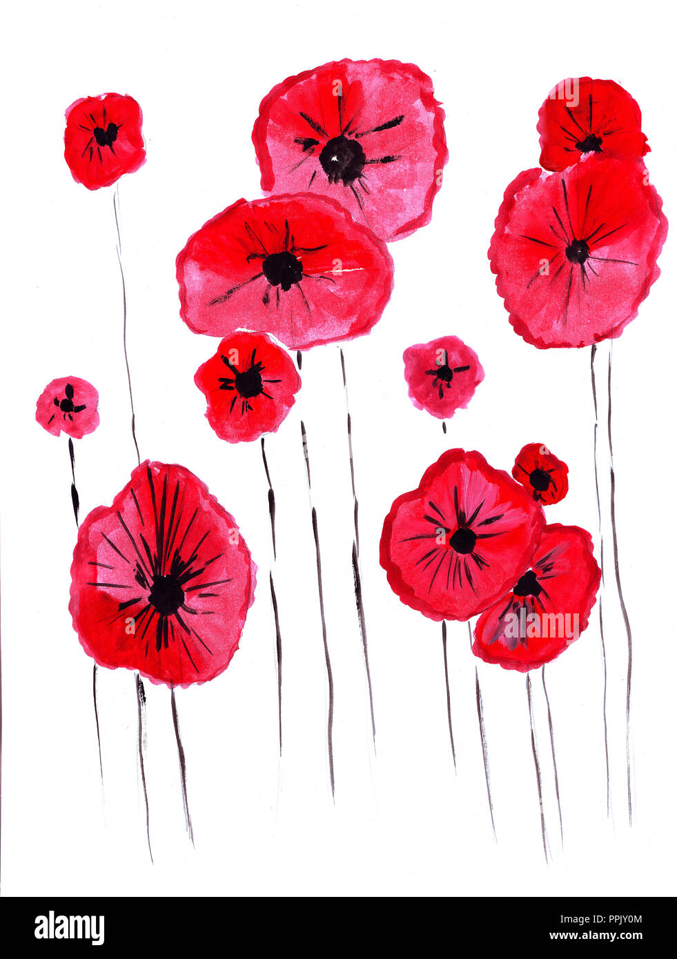 Poppy illustration Cut Out Stock Images & Pictures - Alamy