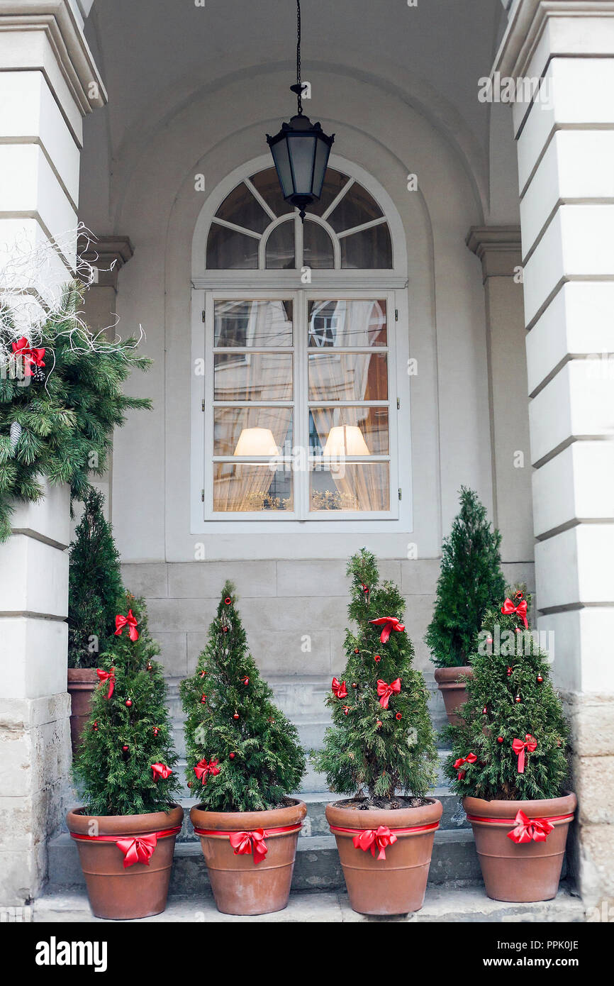 Decorated with red bows and balls Christmas trees in pots near house