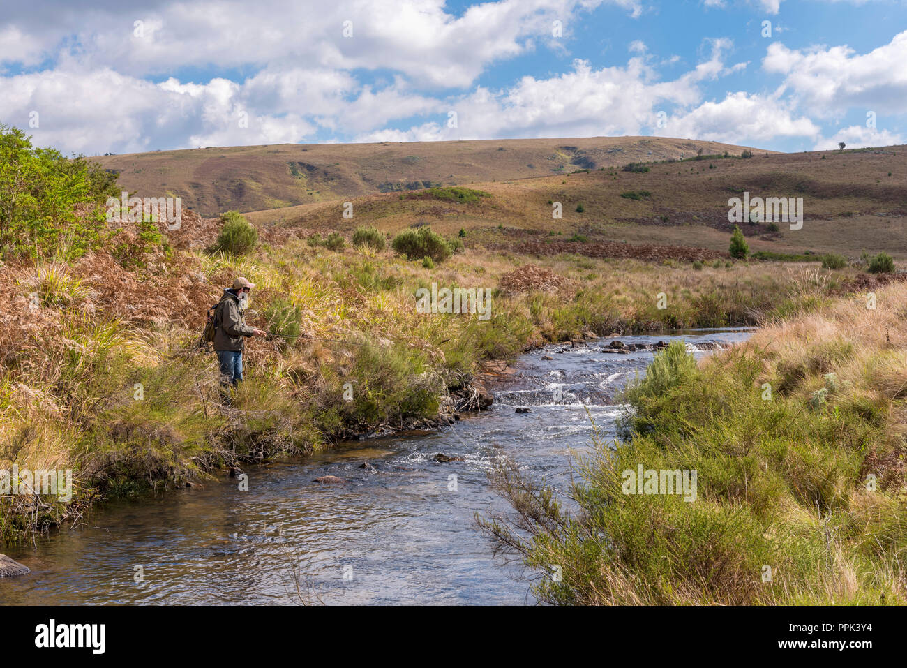 Fly fishing in Zimbabwe's Eastern Highlands Stock Photo Alamy