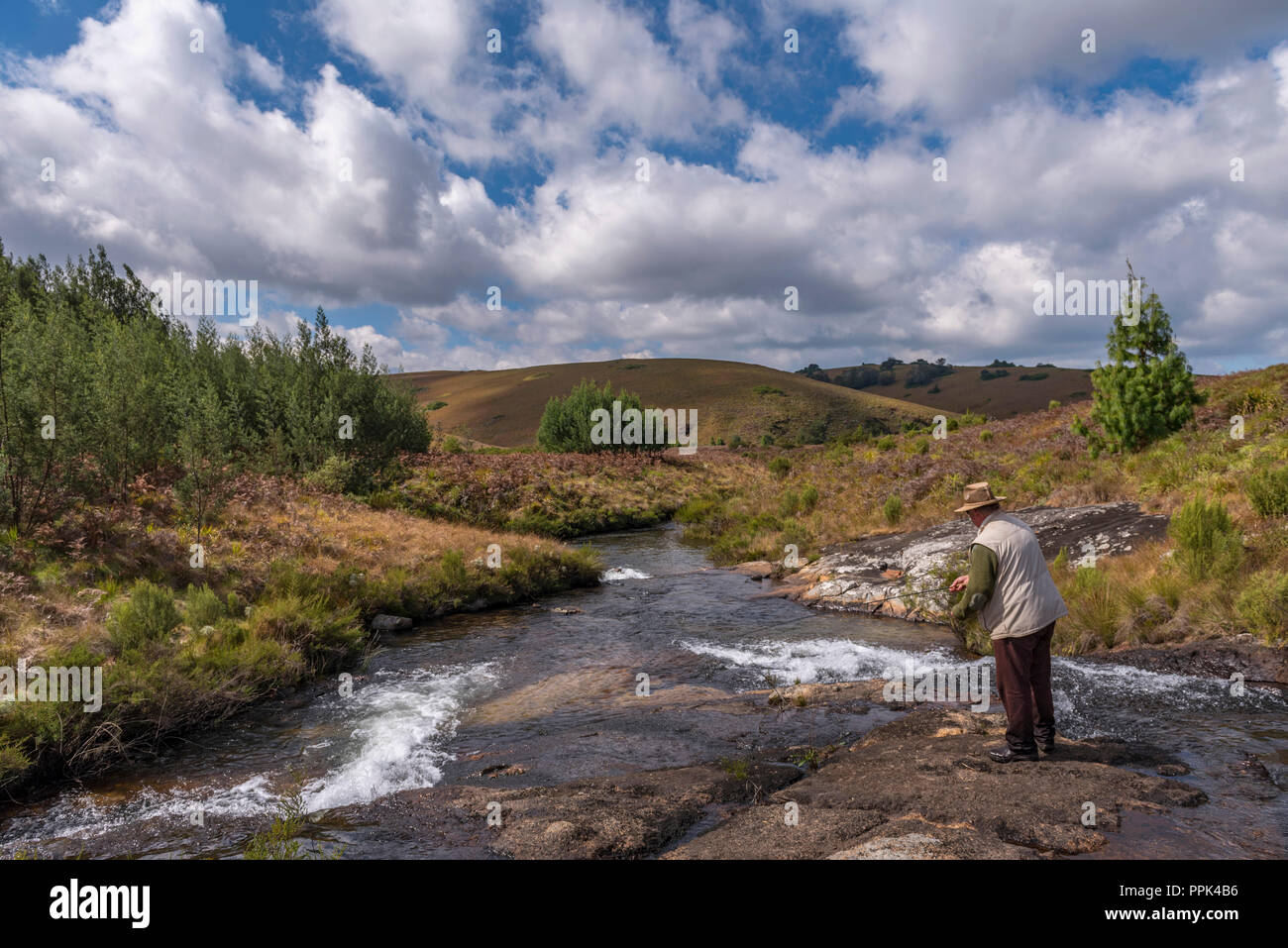 Fly fishing in Zimbabwe's Eastern Highlands Stock Photo Alamy