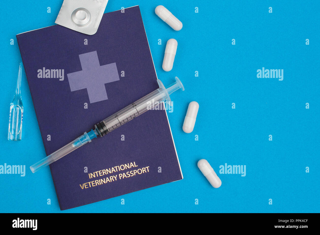 A two-ml syringe lies on a blue veterinary (pet) passport beside which lie four white pills, an ampoule with liquid and a tablet in a package on a blu Stock Photo