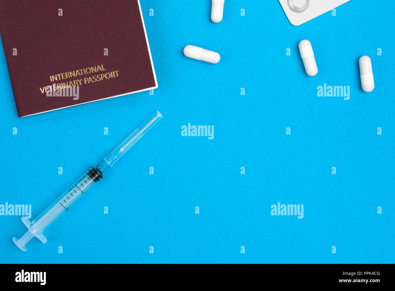Red (burgundy) veterinary (pet) passport, a two-ml syringe, four white pills and a tablet in a package lie on a blue background. Top view. Stock Photo
