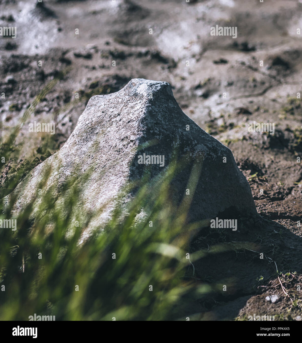 grass, stone and mud Stock Photo