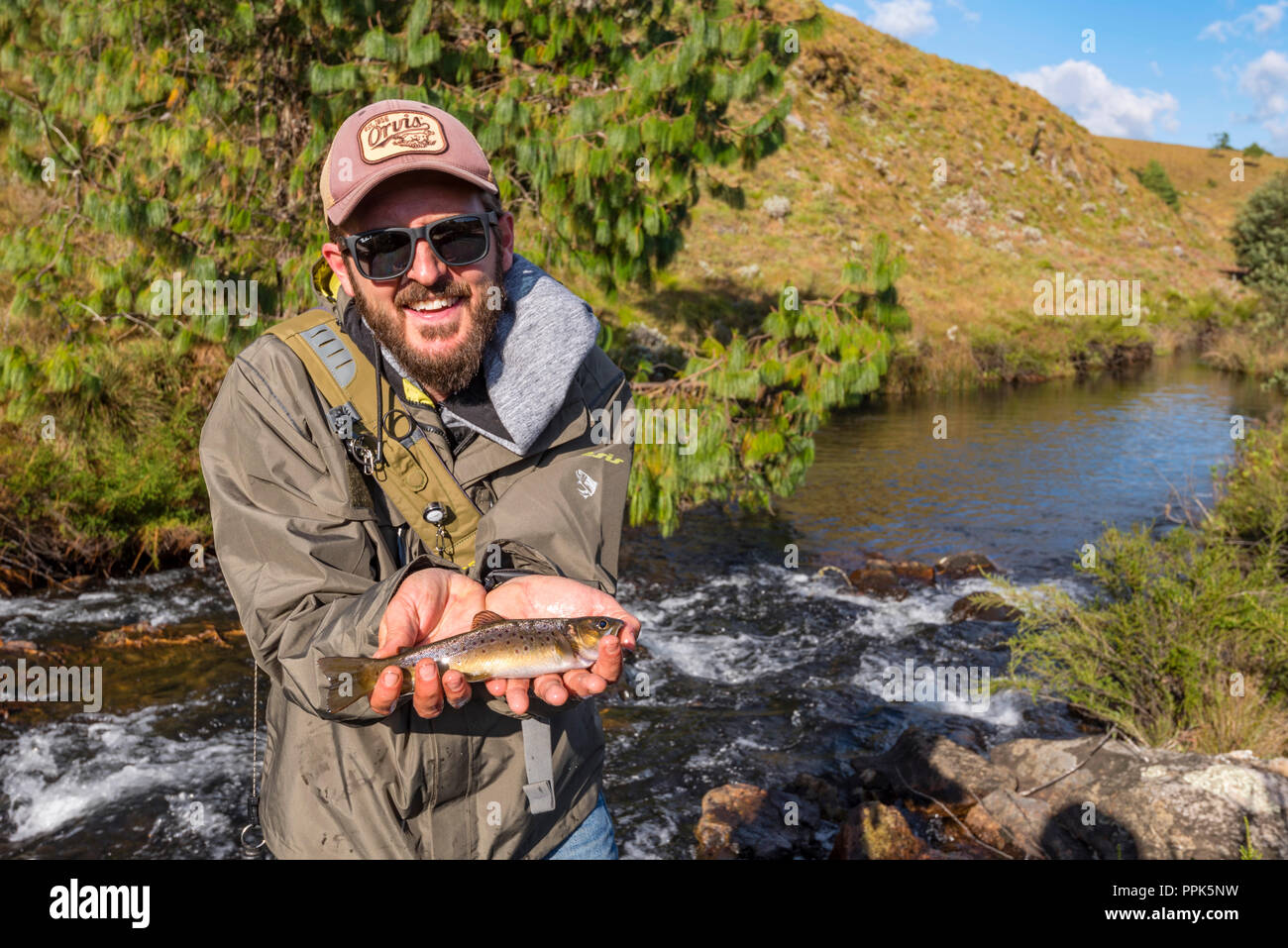 Fly fishing in Zimbabwe's Eastern Highlands Stock Photo Alamy