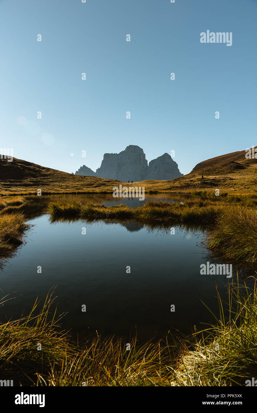 Baste hi-res stock photography and images - Alamy