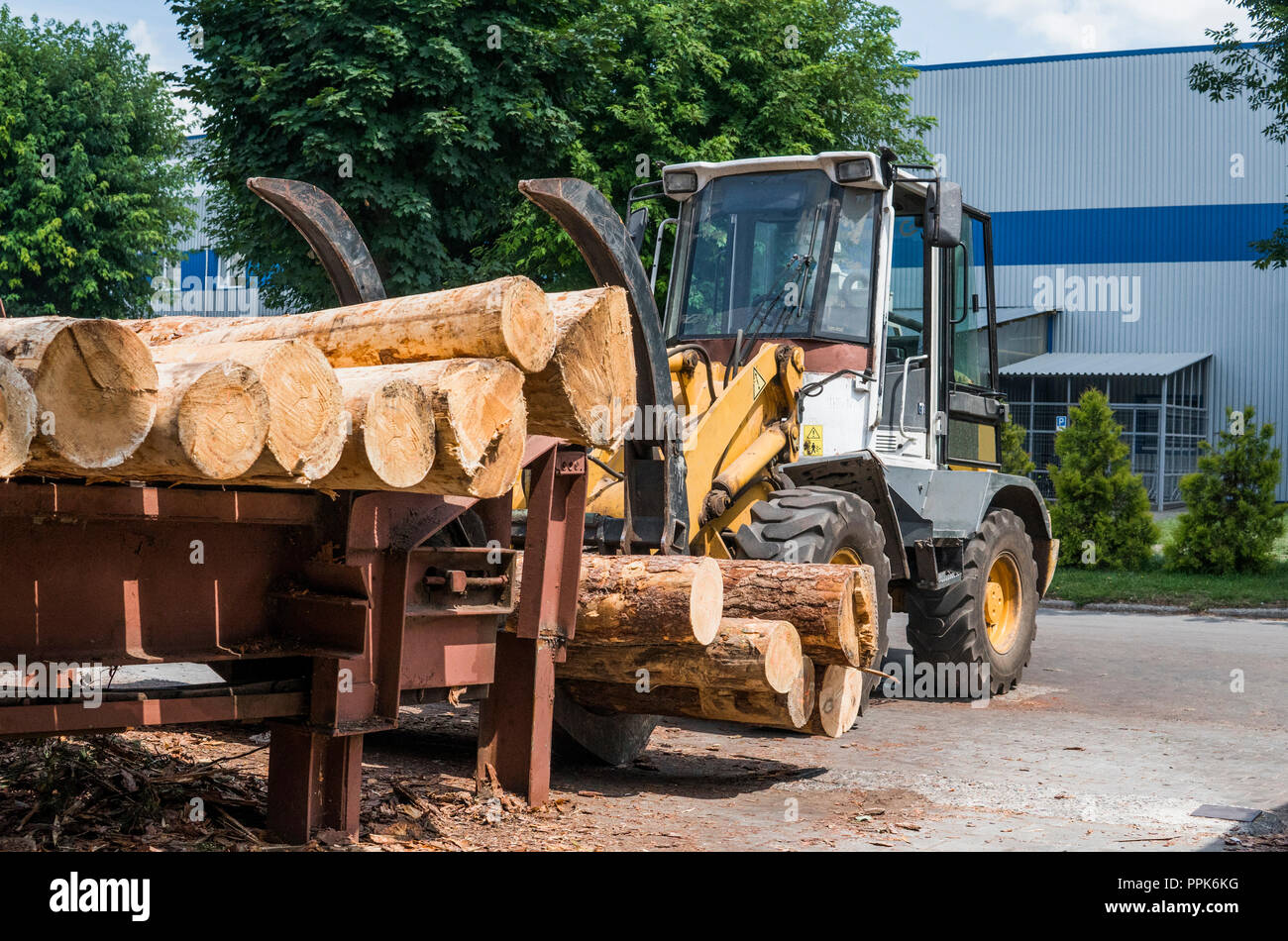 Forklift truck grabs wood in a wood processing plant. Large log loader