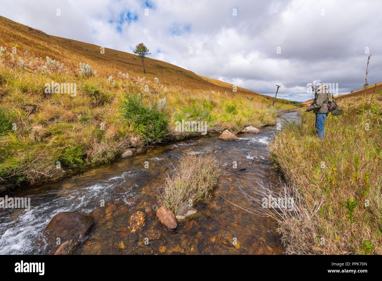 Fly fishing in Zimbabwe's Eastern Highlands Stock Photo Alamy