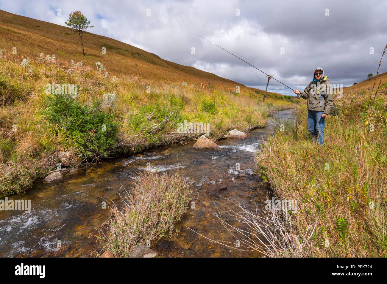 Fly fishing in Zimbabwe's Eastern Highlands Stock Photo Alamy