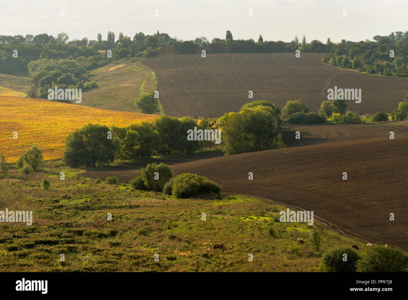 autumn rural landscape, a view from Totoha hill, Ukraine Stock Photo