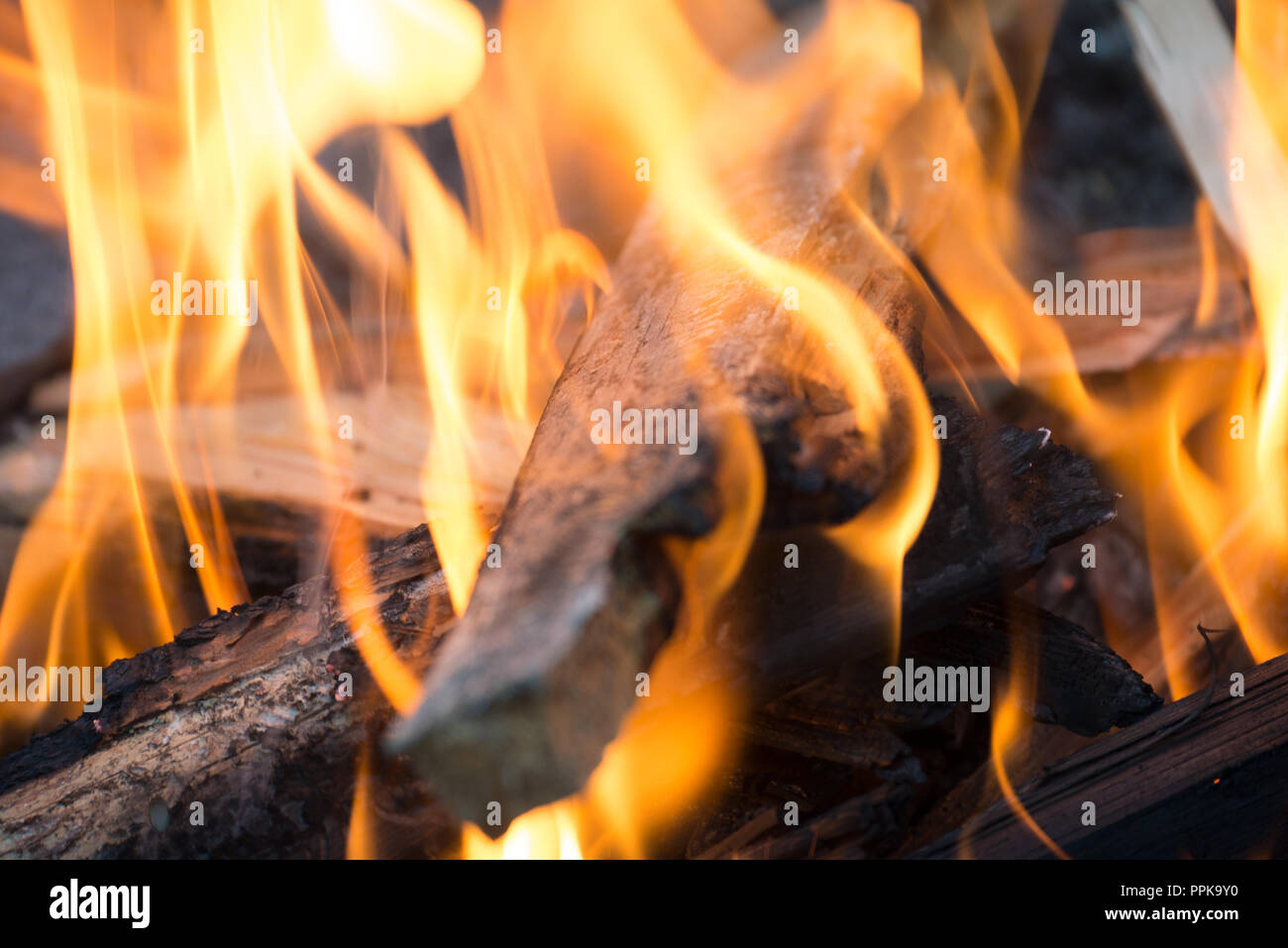 Kindling on Fire at the Campground Stock Photo Alamy