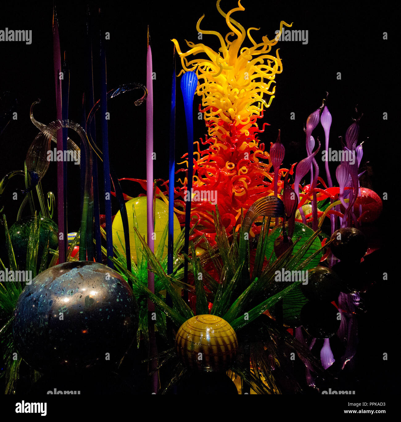 Dale Chihuly Seattle Stock Photos & Dale Chihuly Seattle Stock Images