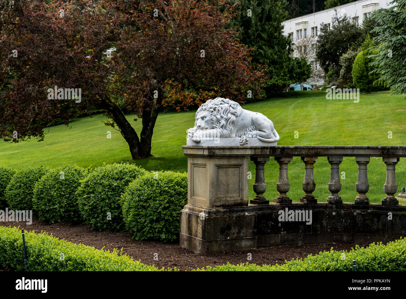 Stone lion, Hatley Park, Colwood, Greater Victoria, British Columbia, Canada Stock Photo