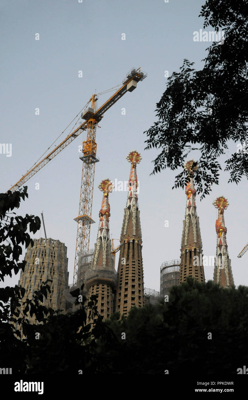 Sagrada main image 1