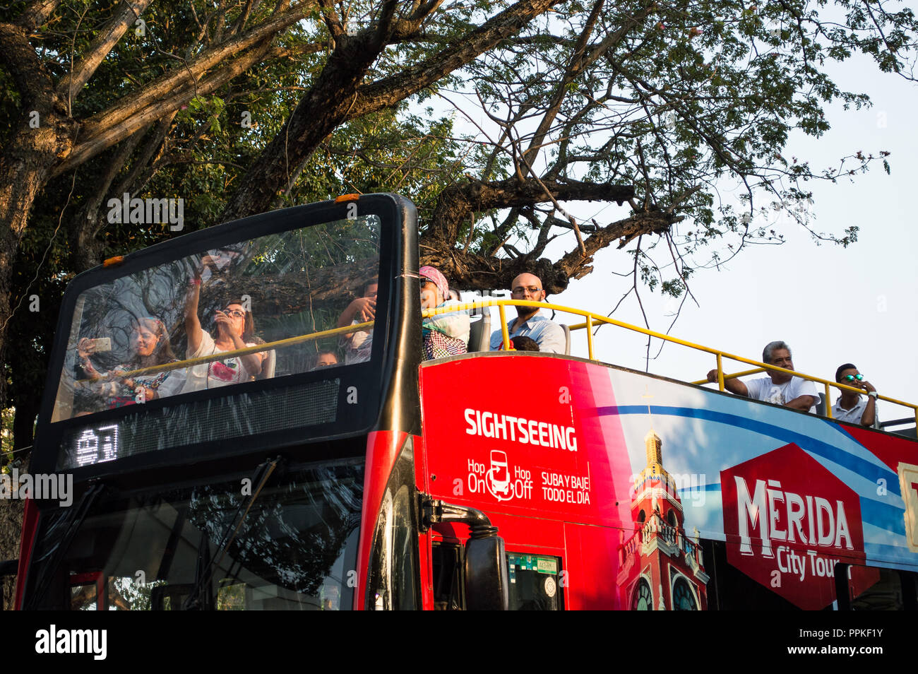 Tourists on Tour bus driving through downtown Merida, Yucatan, Mexico. Stock Photo