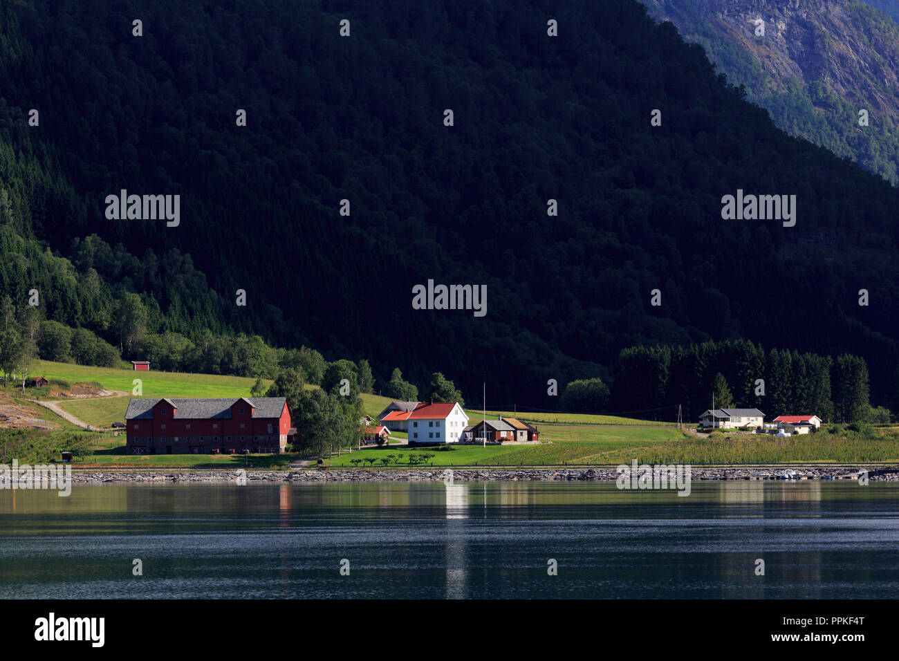 Hague Farm, Skjolden Village, Sognefjord, Sogn og Fjordane County, Norway Stock Photo