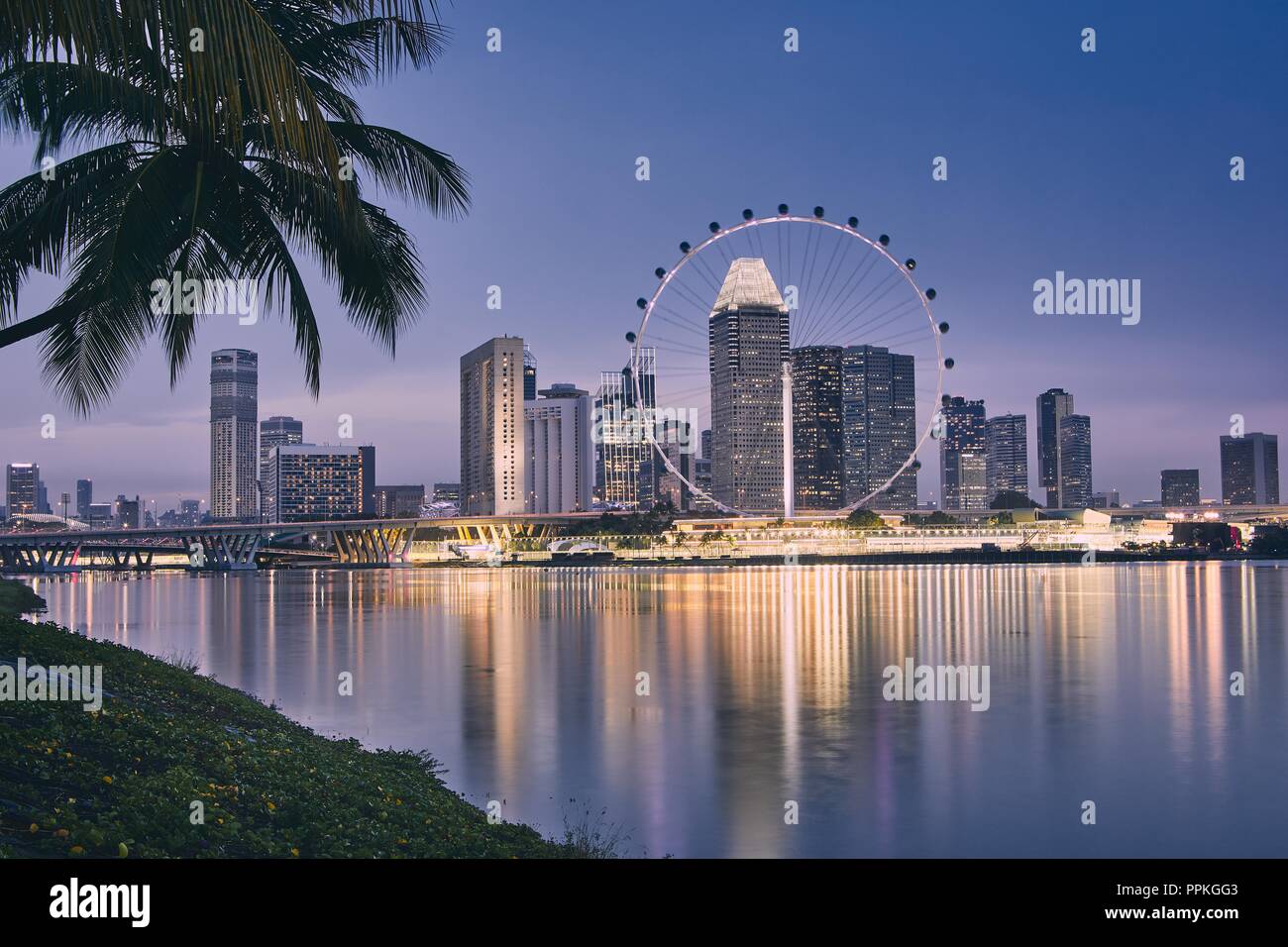 Lights of modern asian city. Palm tree against Singapore skyline at dusk. Stock Photo